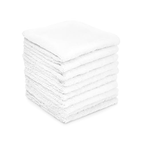 10 Microfiber Cloths (10 Count)