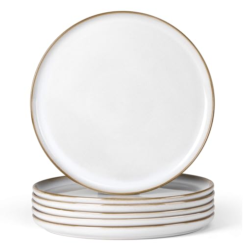 Ceramic 10.43 Inch Dinner Plates Set of 6