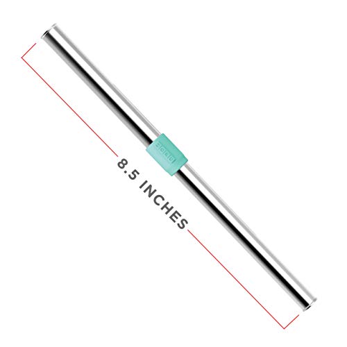 Jumbo Reusable Metal Straw with Case