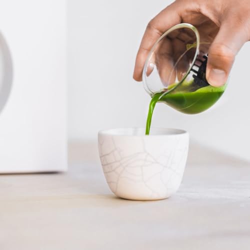 Matcha Maker Starter Kit