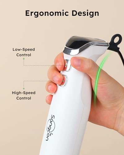 Immersion Blender Handheld