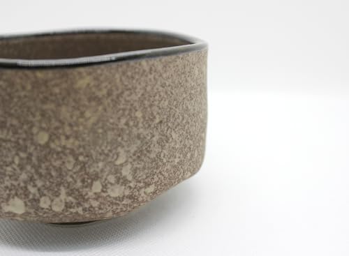 Japanese Traditional Handcrafted Mino Matcha Chawan Tea Bowl Cup Ceremony Tableware Pottery
