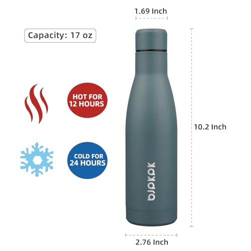 17oz Skinny Insulated Water Bottle