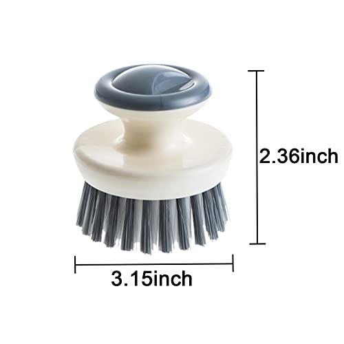 Dish Scrub Brush