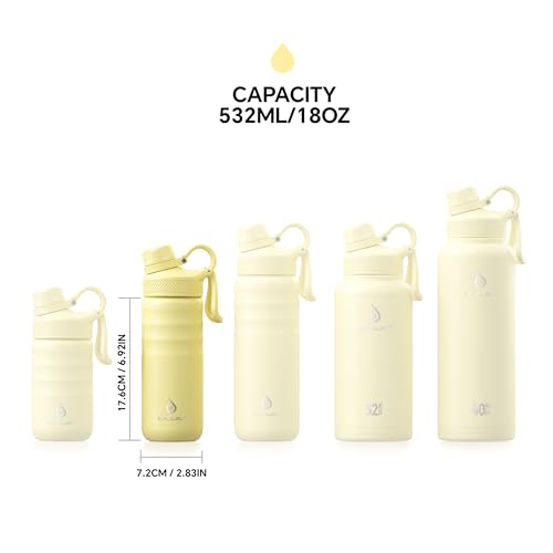 Insulated Stainless Steel Water Bottle with 2 Leak
