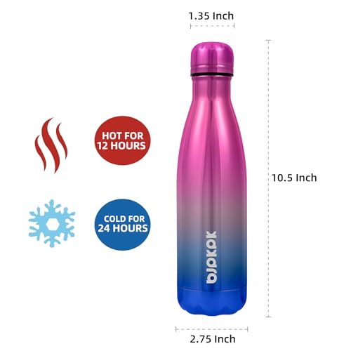 17 oz Insulated Water Bottle