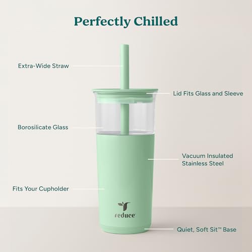 Aspen 20oz Vacuum Insulated Glass Tumbler