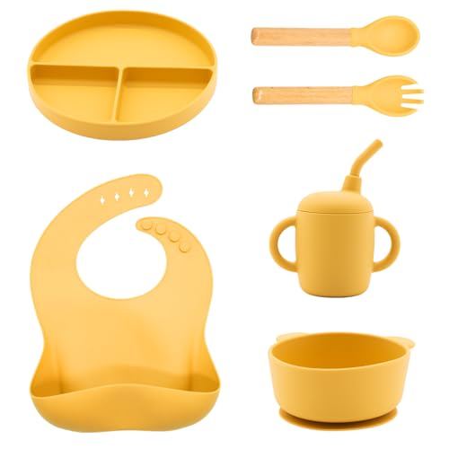 Silicone Baby Feeding Set 6 Pcs (6 Count)