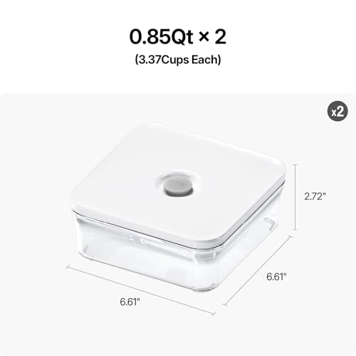 Premium Airtight Food Storage Containers (2 Count)