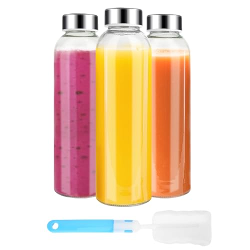 Clear Glass Bottles with Lids (3 Count)