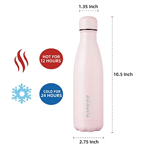 17 oz Insulated Water Bottle
