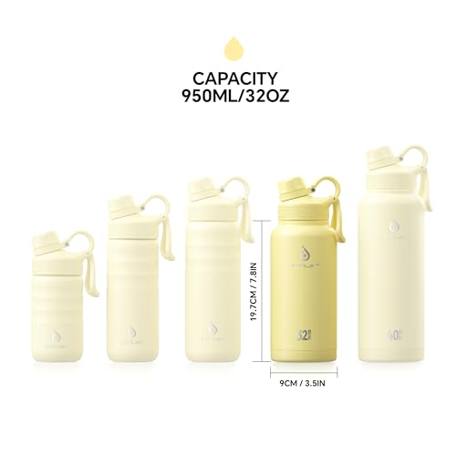 Insulated Stainless Steel Water Bottle with 2 Leak