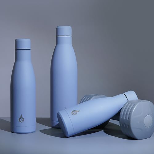 25 oz Insulated Stainless Steel Water Bottle