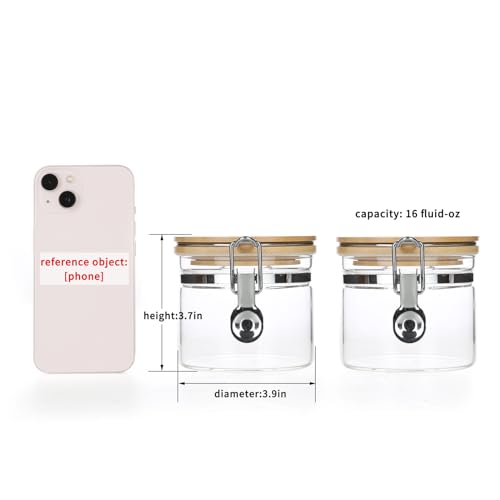 Clear Borosilicate Glass Storage Jars with Airtight Locking Clamp Lids (2 Count)