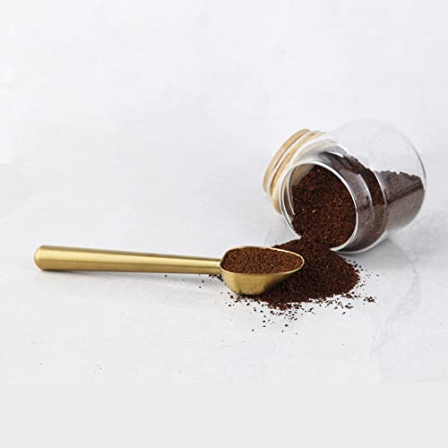 Stainless Steel Long Hollow Handle Coffee Scoop
