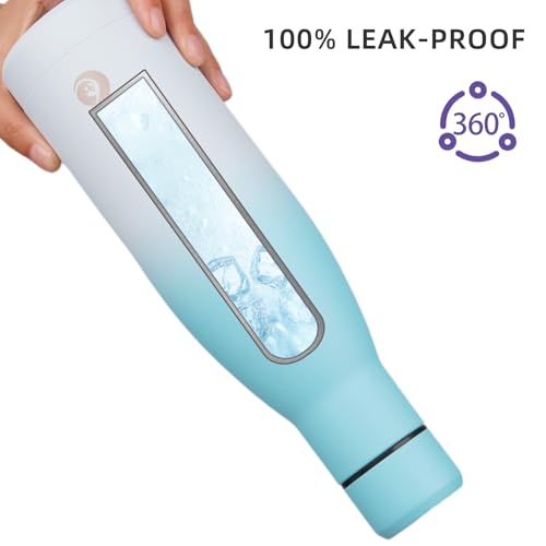 25 oz Insulated Stainless Steel Water Bottle