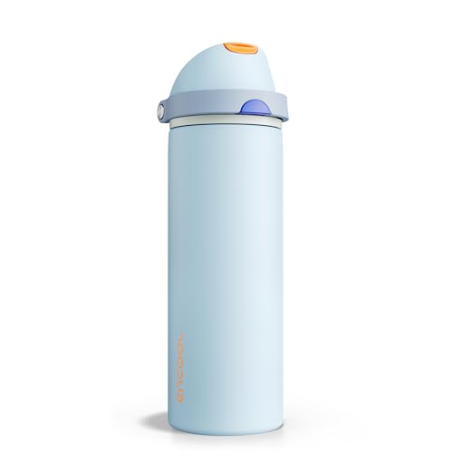 Insulated Water Bottle with Straw Stainless Steel Water Bottle with Push Button Lid