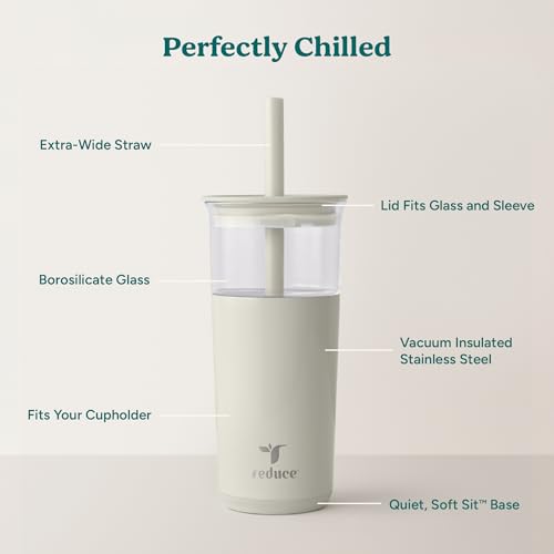 Aspen 20oz Vacuum Insulated Glass Tumbler