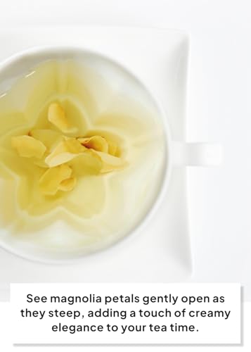Korean Food KKOKDAM Magnolia Flower Tea
