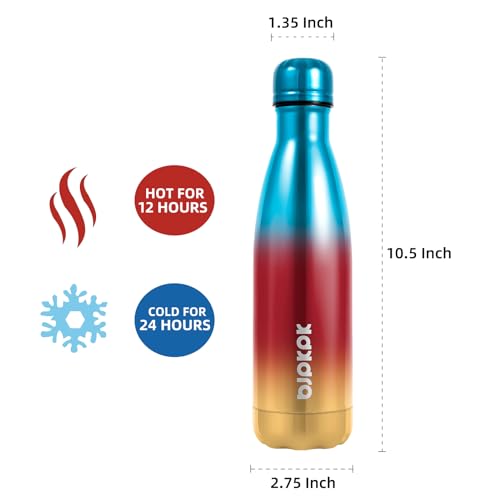 17 oz Insulated Water Bottle