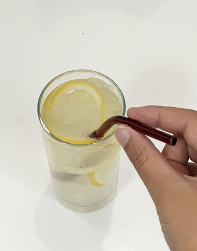 10 Pcs Stainless Steel Straws