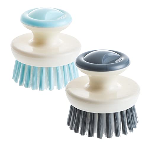 Dish Scrub Brush