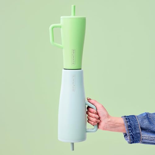 Era 20 oz Tumbler with Handle and Straw