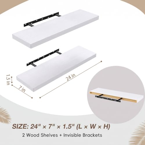 Floating Wall Shelves (2 Count)