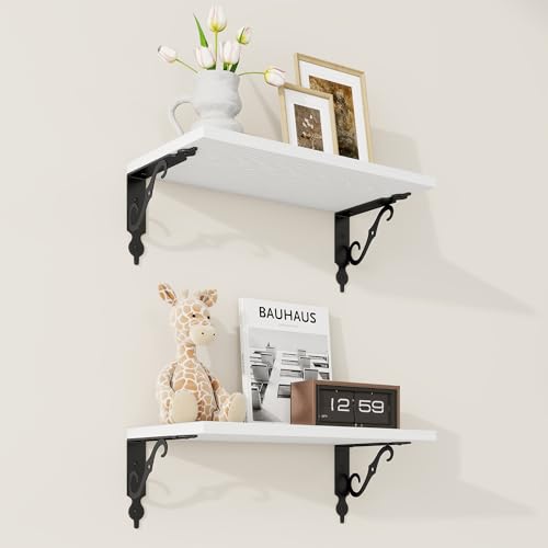 Floating Shelves for Wall Decor (2 Count)