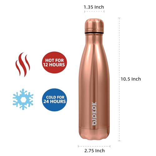 17 oz Insulated Water Bottle