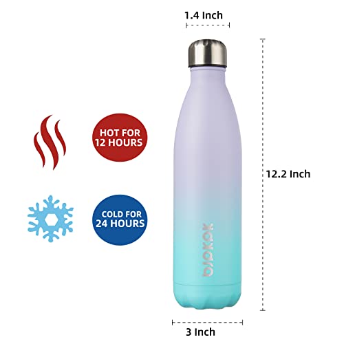 25 oz Insulated Water Bottle