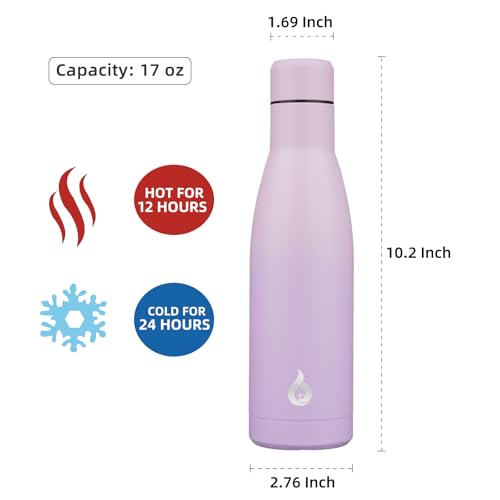 17 oz Insulated Thermal Metal Water Bottle