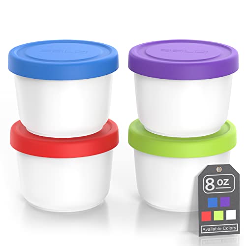 8oz Mini Ice Cream Containers (4 Count)