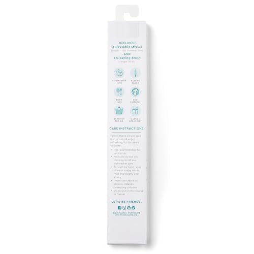 Pack of 6 Reusable Plastic Straws with Cleaning Brush (6 Count)