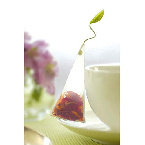 Tea Sampler 10 Pyramid Infuser Bags (10 Count)