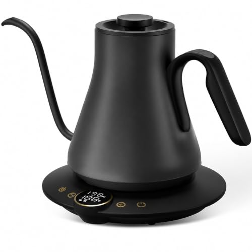 Gooseneck Electric Kettle