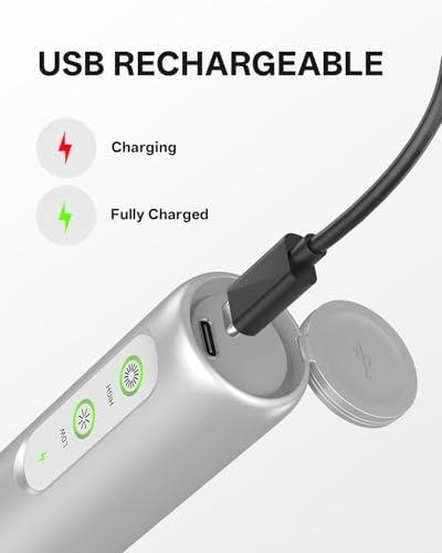 Rechargeable 2