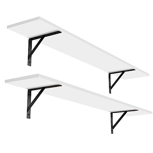 Long Wall Shelves (2 Count)