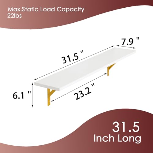 Long Wall Shelves (4 Count)