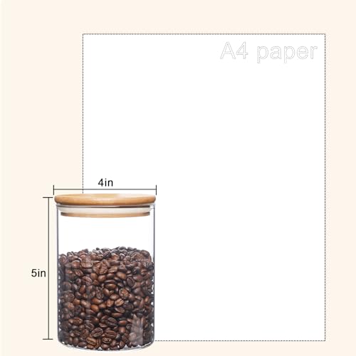 Glass Food Storage Containers with Lids (2 Count)