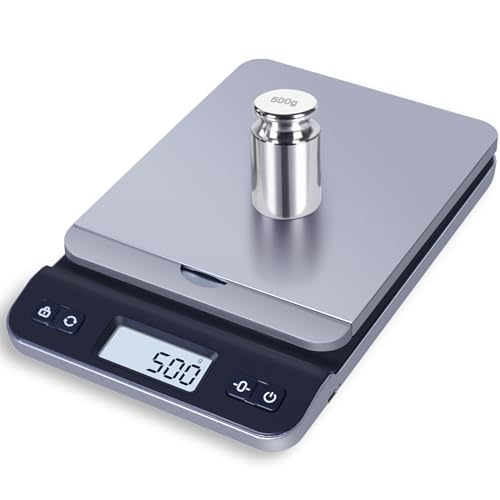 500g Calibration Weights