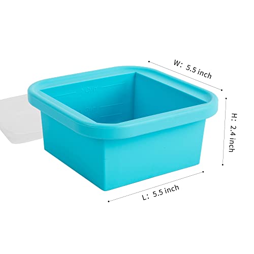 Silicone Freezing Tray with Lid