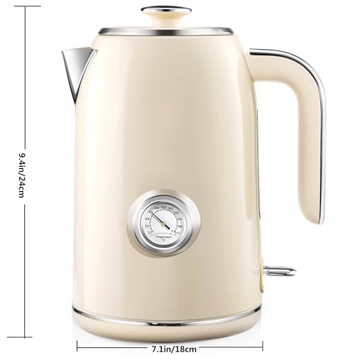 Electric Kettle