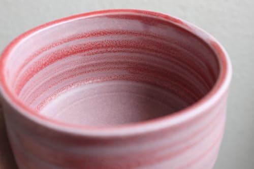 Japanese Traditional Handcrafted Matcha Chawan Tea Bowl Cup Ceremony Tableware Pottery