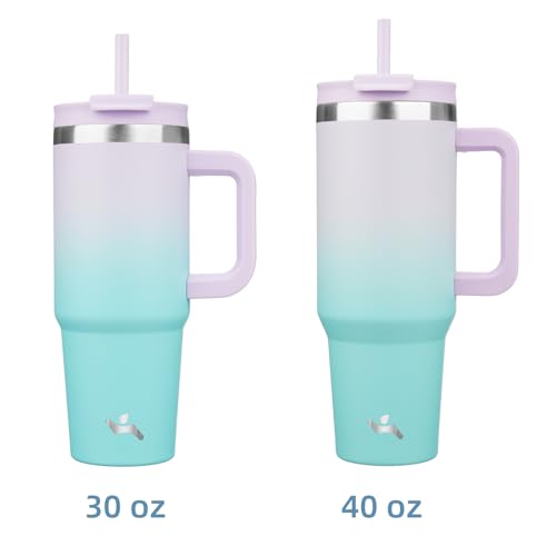 30 oz Insulated Tumbler Water Bottle with Handle