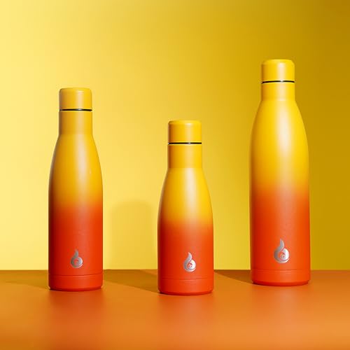 25 oz Insulated Stainless Steel Water Bottle