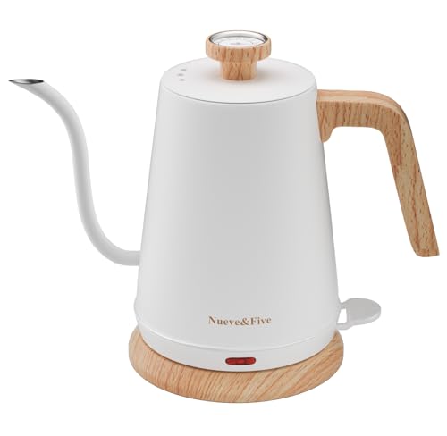 Electric Gooseneck Kettle with Thermometer