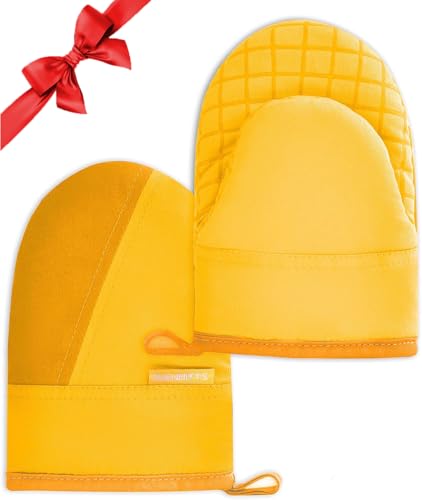 Mini Oven Mitts