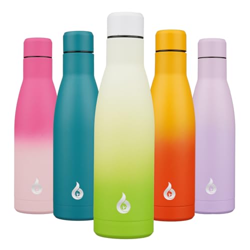 17 oz Insulated Thermal Metal Water Bottle