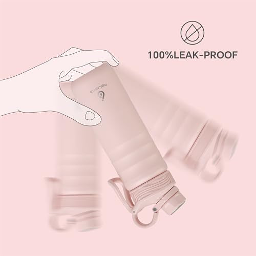 24oz Stainless Steel Insulated Bottle with 2 Leak